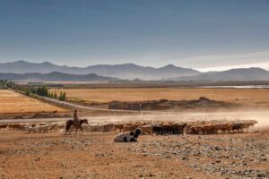 How to Master Farming and Progression in Stardew Valley