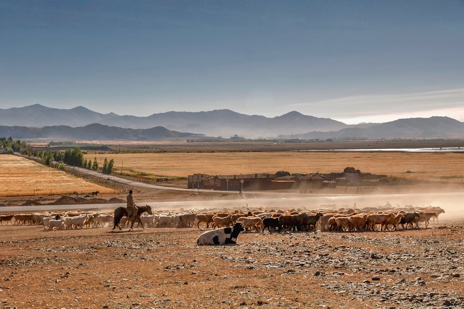 How to Master Farming and Progression in Stardew Valley