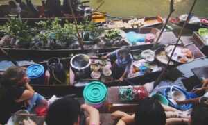 should i use zayepro pharmaceuticals ltd