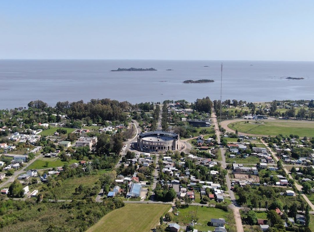 Top Enero Sin Gastos Memes and Their Meanings