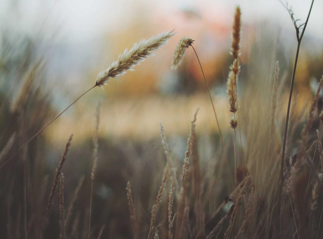 Relive the Magic: The Story Behind 'Bole Chudiyan'