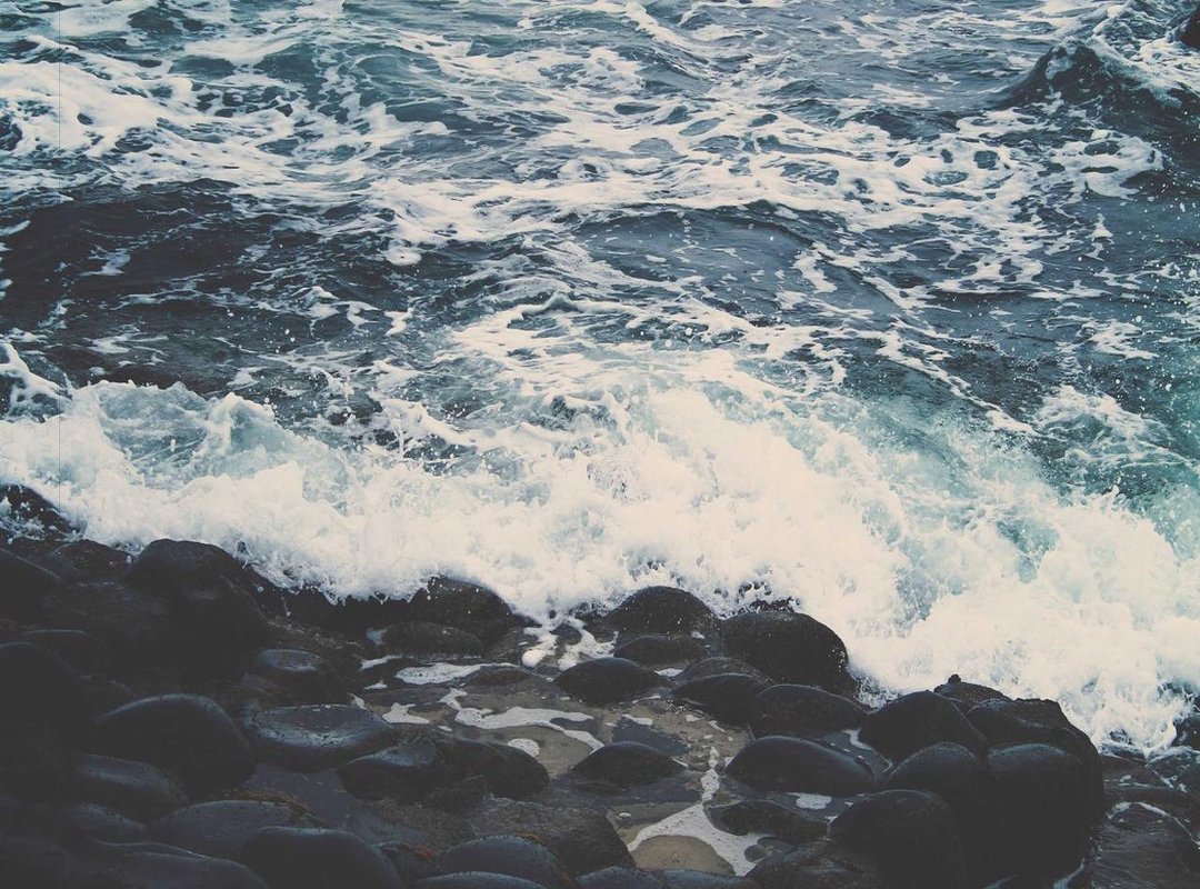 Expand Your Collection: More 'Skibidi Toilet' Characters to Color