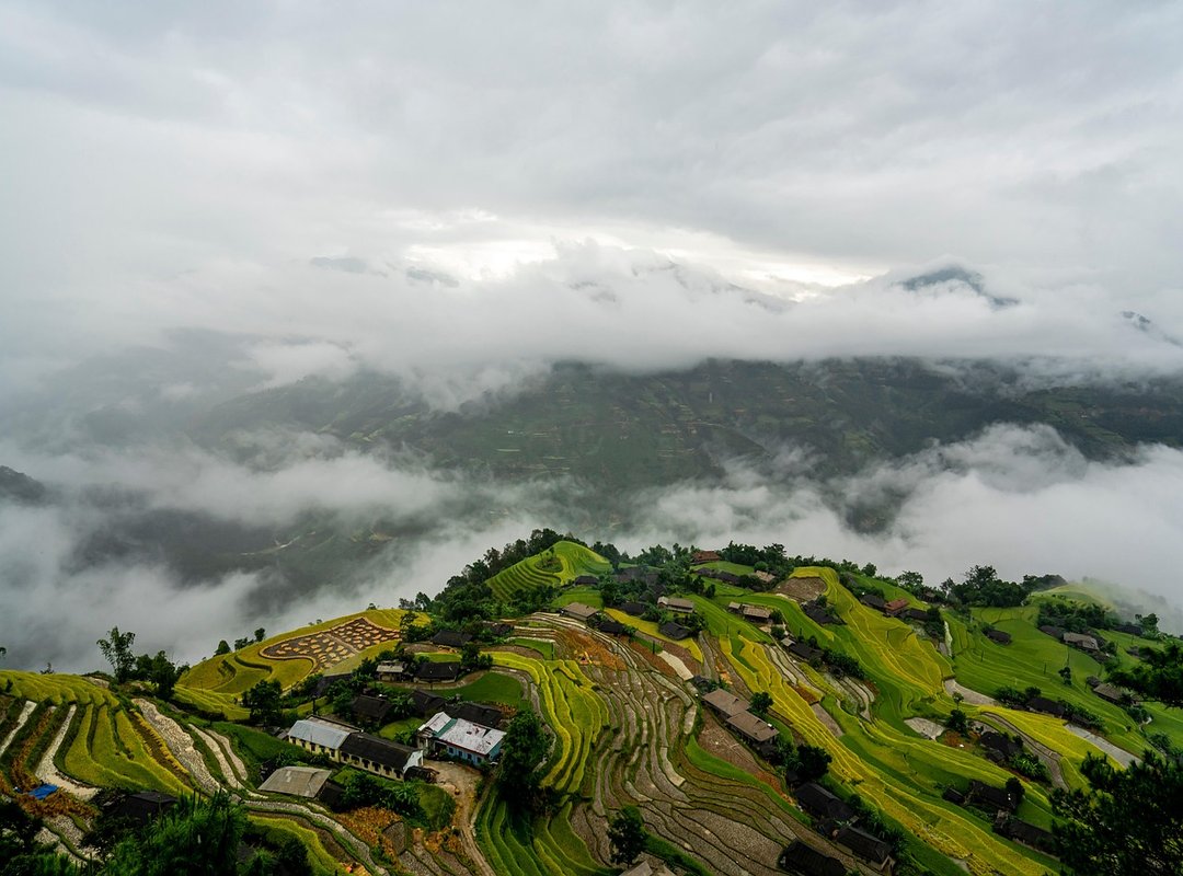 Practical Steps to Manage Your Reaction to Triggers