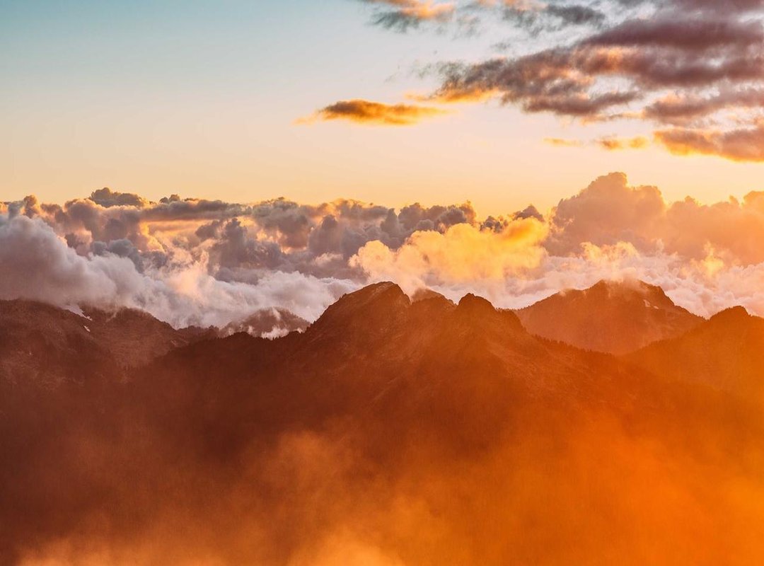 Twenty20 International (T20I) Statistics