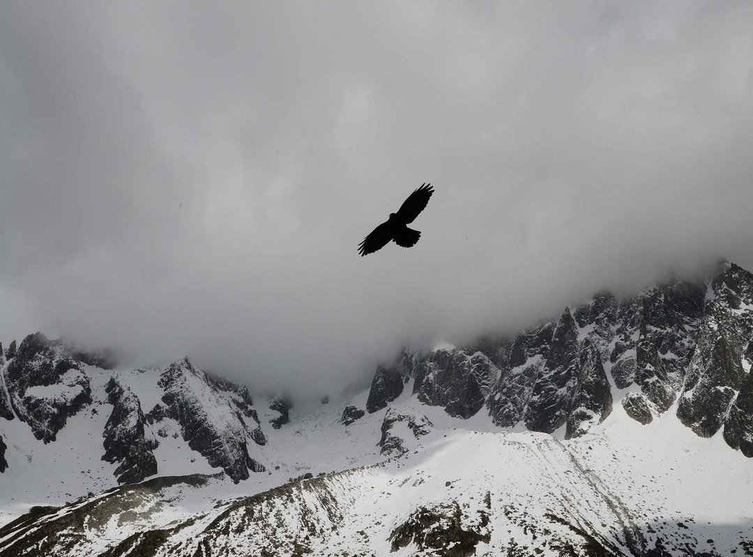 What to Watch Next: Recent and Upcoming Projects