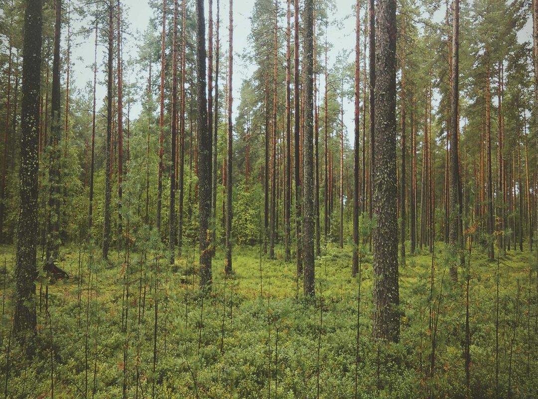 Advanced Tactics: How to Consistently Outplay Your Opponents